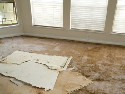 Water damage restoration by QuickDri Carpet & Tile Cleaning