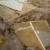 Oak Leaf Water Damage Restoration by QuickDri Carpet & Tile Cleaning